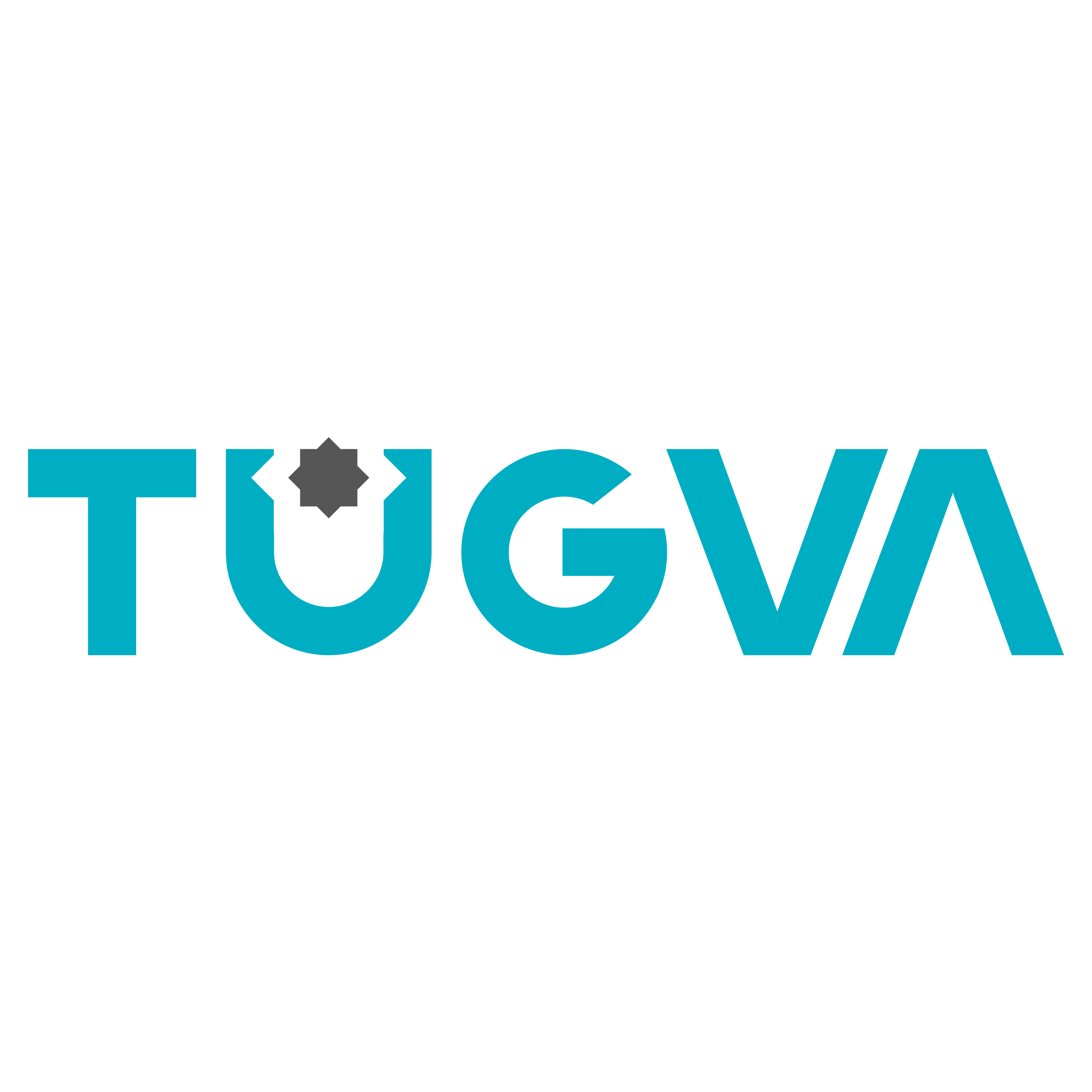 Customer Logo